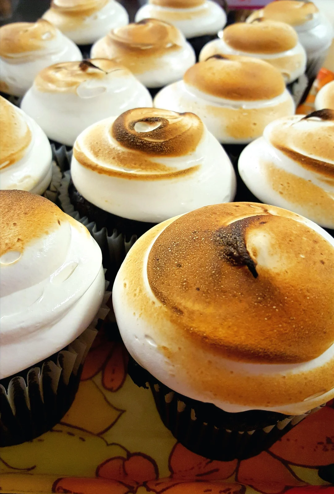 Chocolate cupcakes under swirls of toasted marshmallow